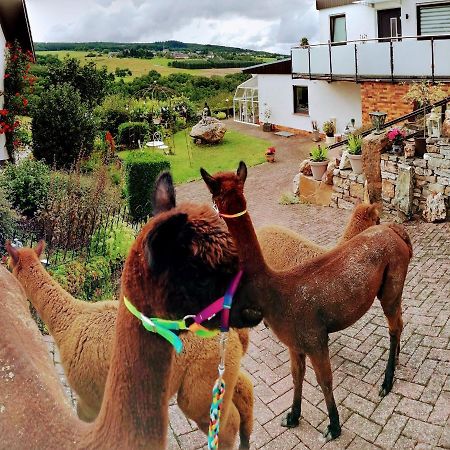 Ferienwohnung Alpaka Blick Schneppenbach المظهر الخارجي الصورة