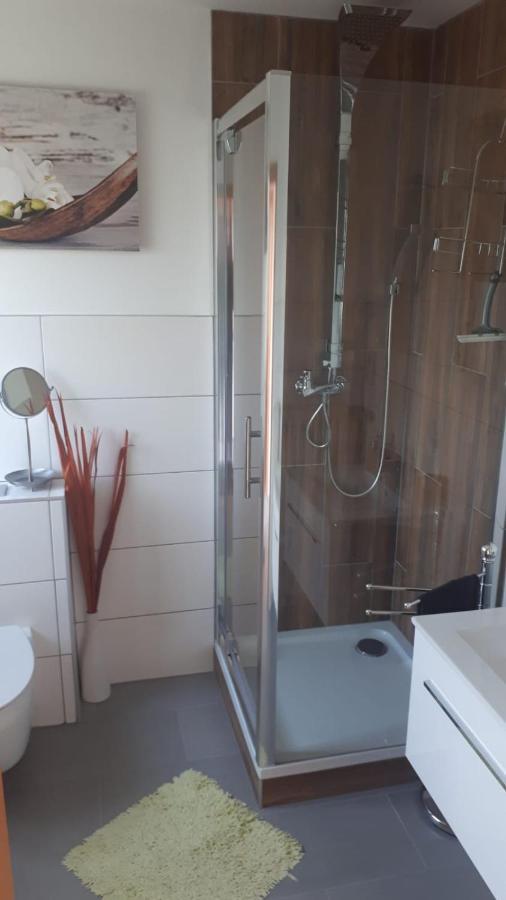 Ferienwohnung Alpaka Blick Schneppenbach المظهر الخارجي الصورة